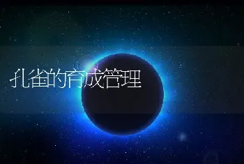 孔雀的育成管理