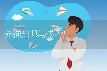 养狗知识与技巧？