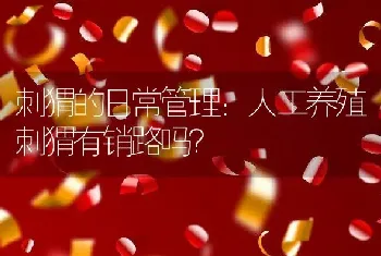 刺猬的日常管理：人工养殖刺猬有销路吗？