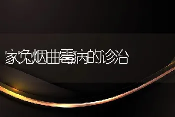 家兔烟曲霉病的诊治