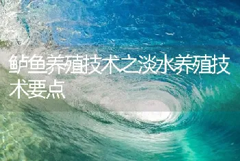 鲈鱼养殖技术之淡水养殖技术要点