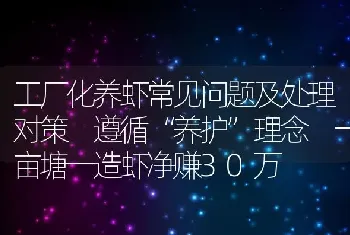 工厂化养虾常见问题及处理对策 遵循“养护”理念 一亩塘一造虾净赚30万