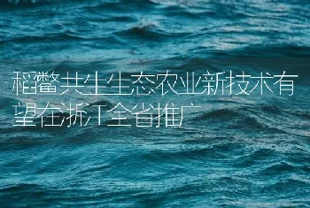 稻鳖共生生态农业新技术有望在浙江全省推广