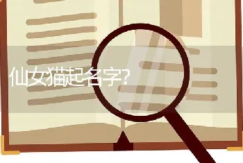 仙女猫起名字？