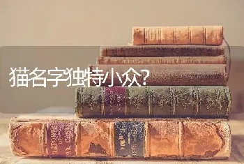 猫名字独特小众？