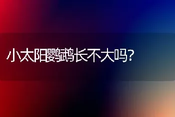 小太阳鹦鹉长不大吗？