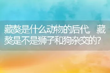 藏獒是什么动物的后代，藏獒是不是狮子和狗杂交的？