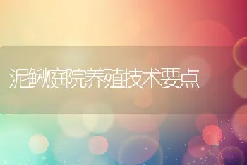 泥鳅庭院养殖技术要点