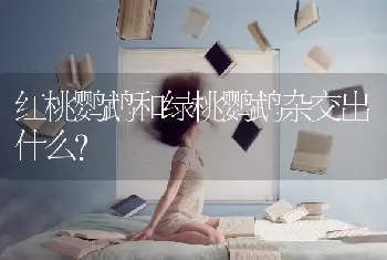 细小病毒的潜伏期多久？