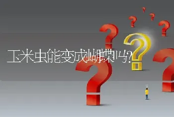 玉米虫能变成蝴蝶吗？