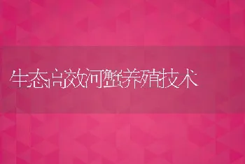 生态高效河蟹养殖技术