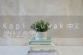 Kopi Luwak中文是什么意思？