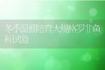 冬季温棚培育大规格罗非鱼种试验