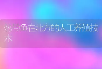 池塘鳜鱼养殖苗种投放及早期鱼病防治技术