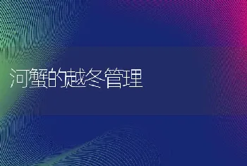 河蟹的越冬管理