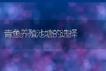 青鱼养殖池塘的选择