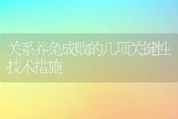 关系养兔成败的几项关键性技术措施