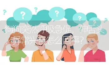 狗狗突然呼吸急促，伸舌头，异常兴奋怎么回事？