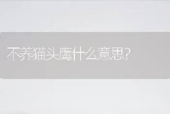 不养猫头鹰什么意思？