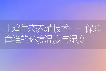 土鸡生态养殖技术--保障育雏的环境温度与湿度