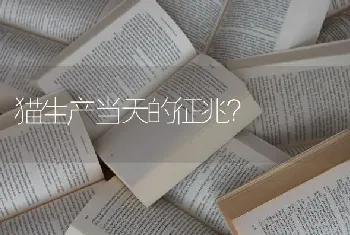 猫生产当天的征兆？