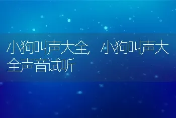 小狗叫声大全，小狗叫声大全声音试听