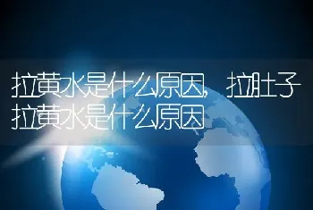 拉黄水是什么原因，拉肚子拉黄水是什么原因