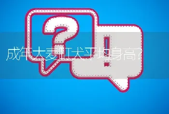 想玩俄罗斯方块游戏了吗什么梗？