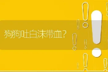 我家狗狗白天一切正常，便便也正常，就是这一段时间晚上总会呕吐白天的食物？