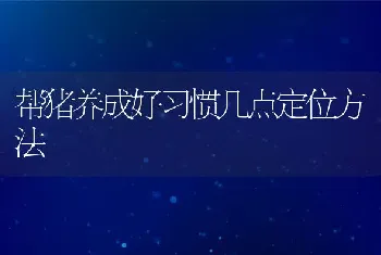 帮猪养成好习惯几点定位方法