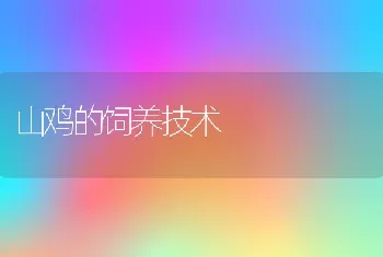 小尾寒羊怕湿热夏季放牧有六忌