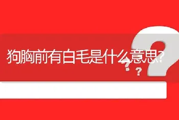 狗胸前有白毛是什么意思？