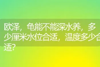 欧泽，龟能不能深水养，多少厘米水位合适，温度多少合适？