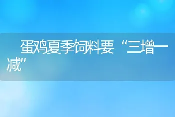 蛋鸡夏季饲料要三增一减