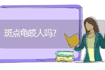 斑点龟咬人吗？