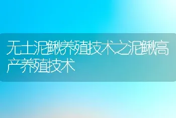 无土泥鳅养殖技术之泥鳅高产养殖技术