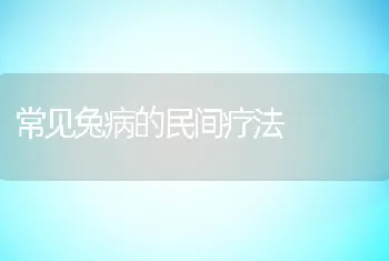 常见兔病的民间疗法