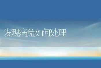 果园养兔的技术措施