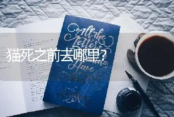 蓝白和虎斑哪个好养？