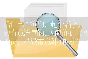 泰迪是什么意思？