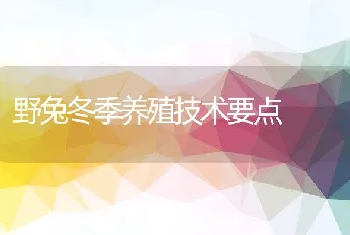 野兔冬季养殖技术要点