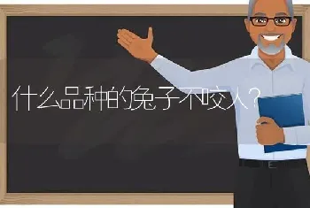 什么品种的兔子不咬人？