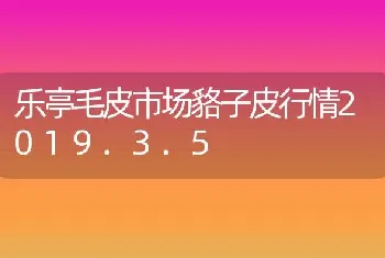 乐亭毛皮市场貉子皮行情2019.3.5