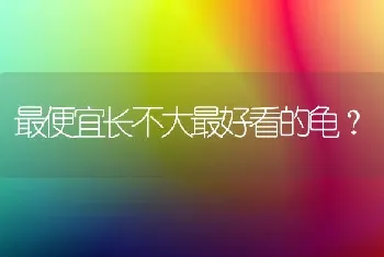 给我家狗起名字，带红字，两个字是德国牧羊犬？