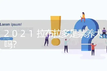 2021拉布拉多是禁养犬吗？