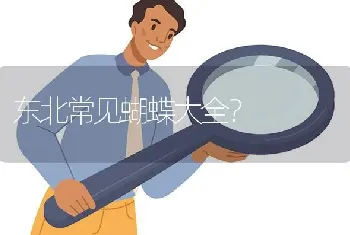 东北常见蝴蝶大全？