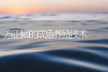 方正鲫的成鱼养殖技术