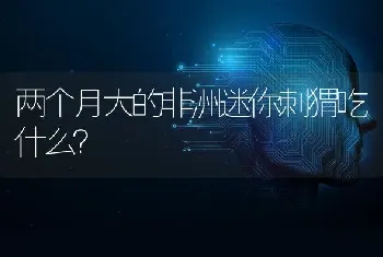 山龟可以和巴西龟一起养吗？