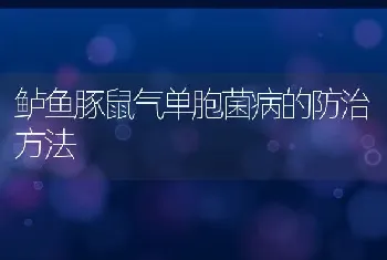 鲈鱼豚鼠气单胞菌病的防治方法