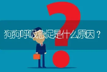 狗狗呼吸急促是什么原因？